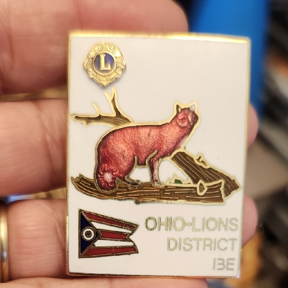 Vintage Ohio Lions District 13E Pin Souvenir Pin Broken